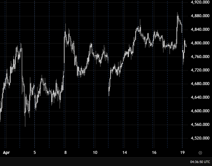 Gold Maintains Bullish Momentum Above 4800 Level