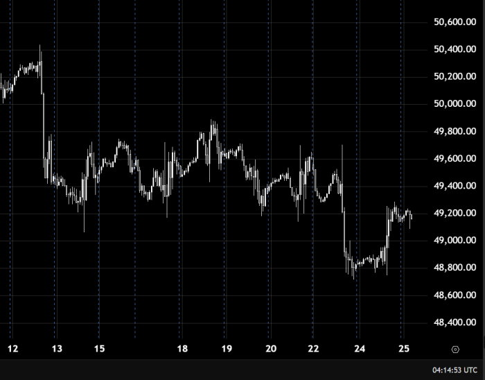 Dow Jones продолжает снижение ниже 49000