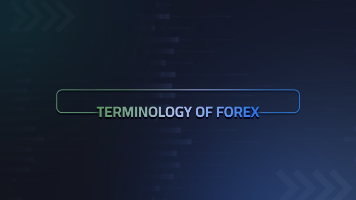Terminology of forex